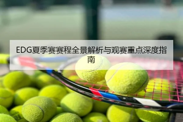 EDG夏季赛赛程全景解析与观赛重点深度指南