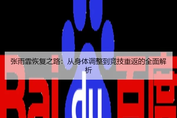 张雨霏恢复之路：从身体调整到竞技重返的全面解析