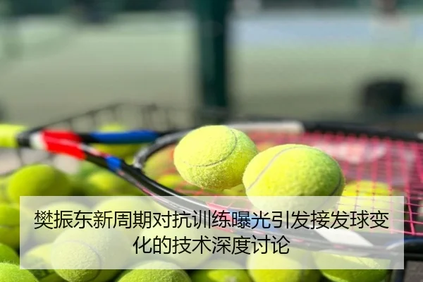樊振东新周期对抗训练曝光引发接发球变化的技术深度讨论